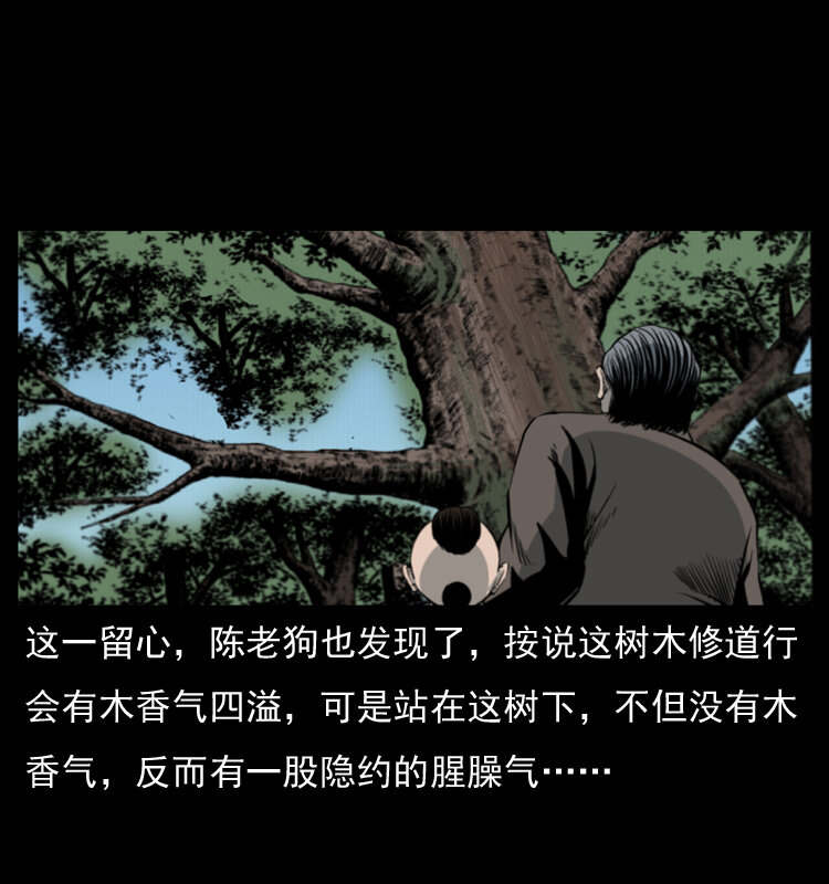008 槐树下的小庙16