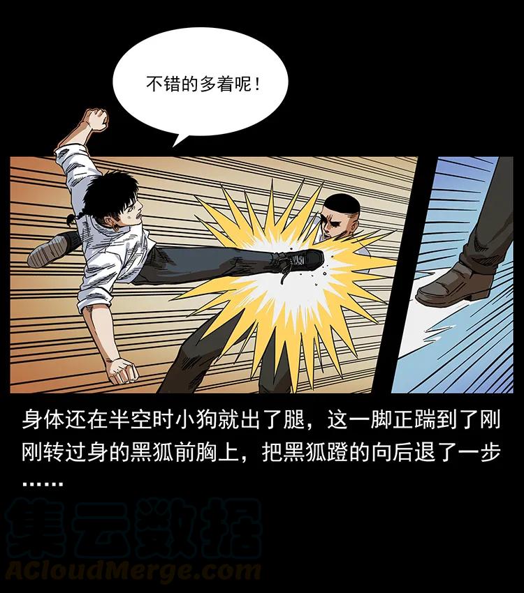 206 不断成长的陈小狗28