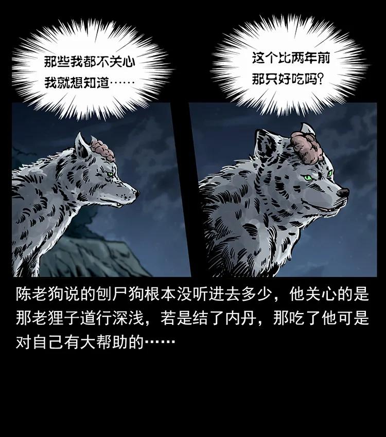 250 走失75