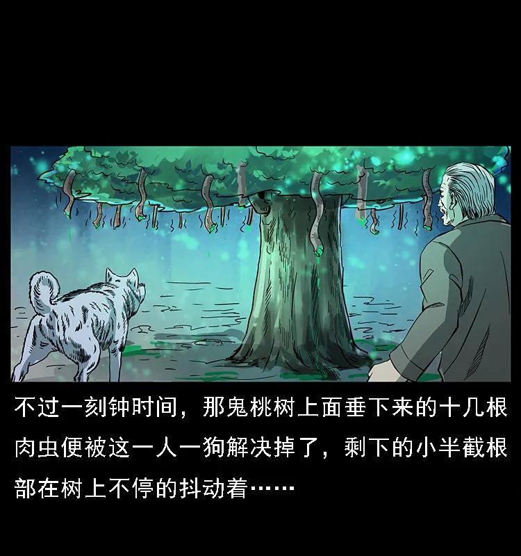 082 鬼桃树73