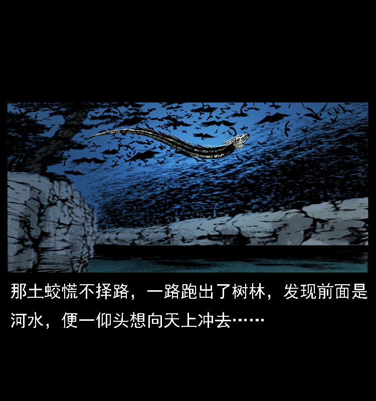 030 斗土蛟216