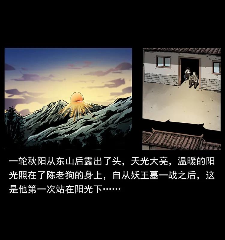 260 阴阳两世50