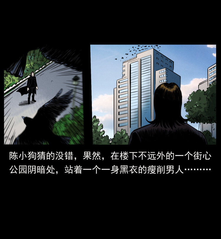 407 安稳日子？不存在的！54