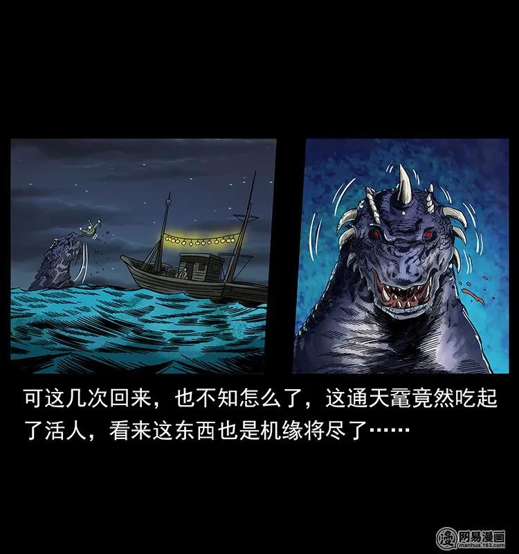 129 通天鼋59