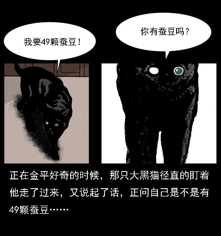 003 赵家的猫38