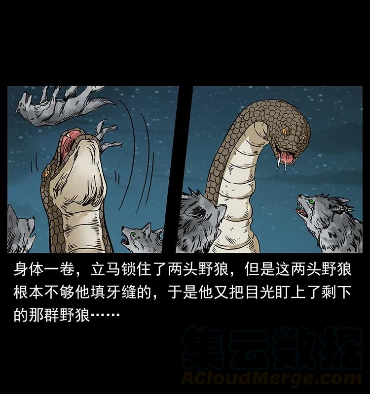 212 草原深处40
