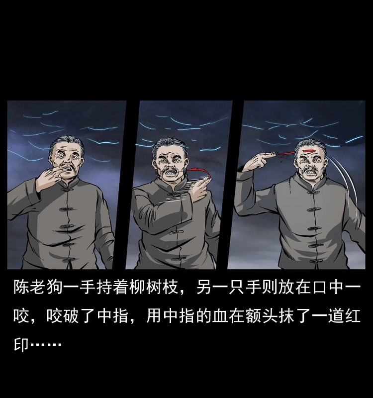 041 雷击尸254