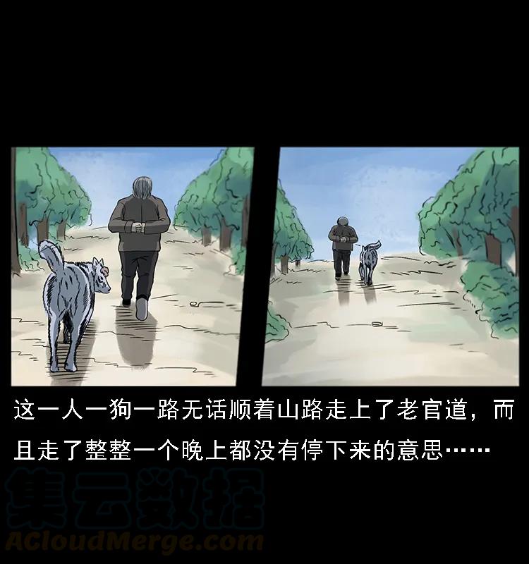082 鬼桃树12