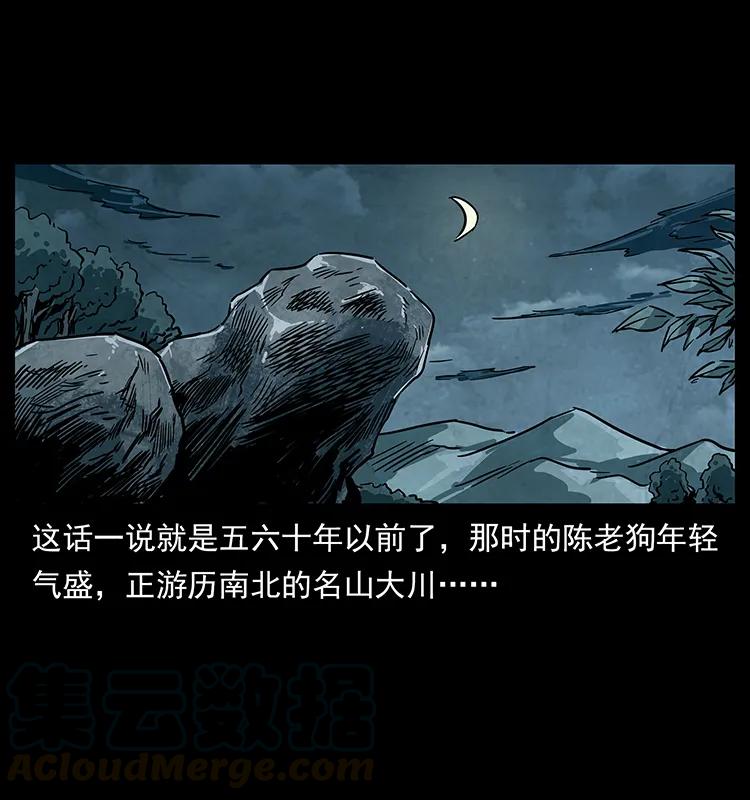 231 东海木龙12