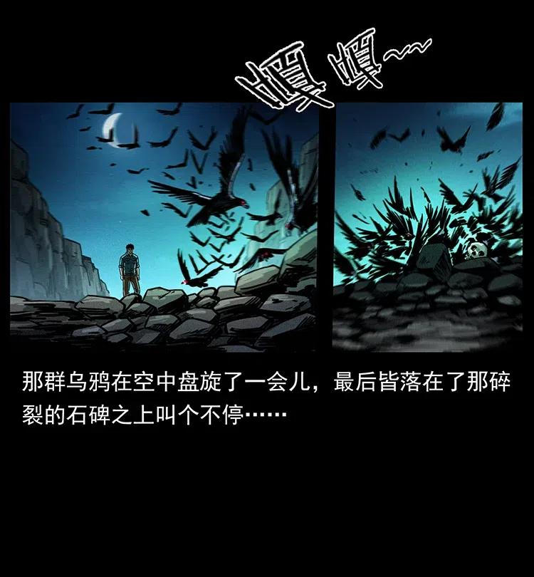 370 乌翅凤凰47