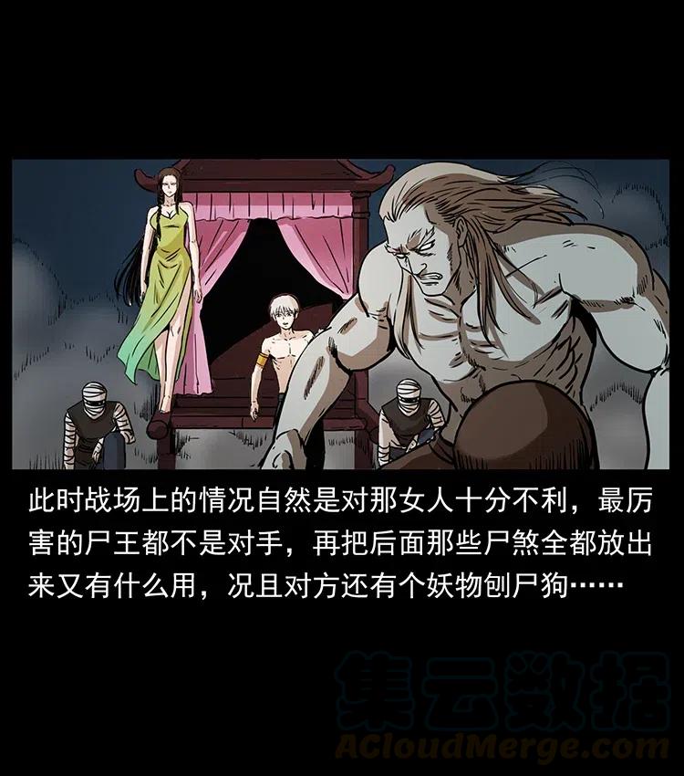 331 樊家尸王经32