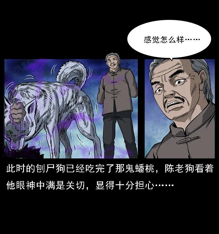 084 刨尸狗的妖化之路21