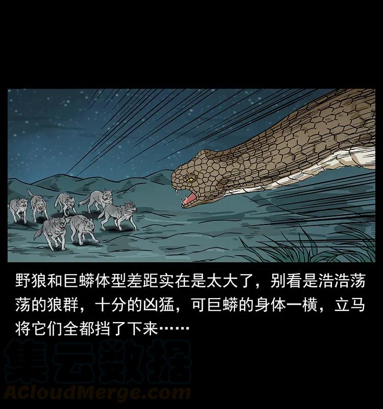 212 草原深处36