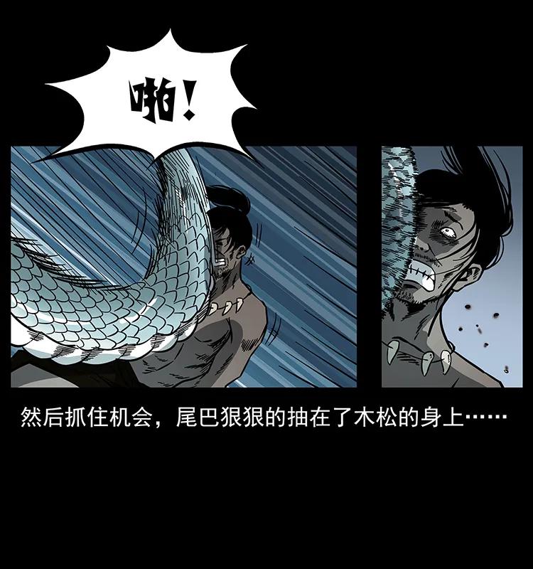 171 独龙河谷38