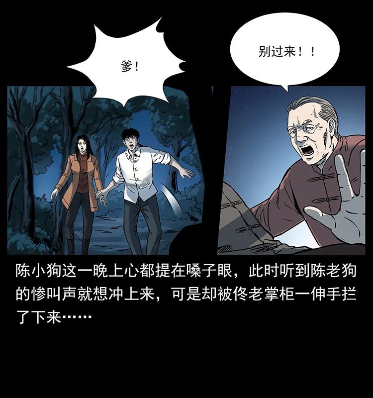 260 阴阳两世7