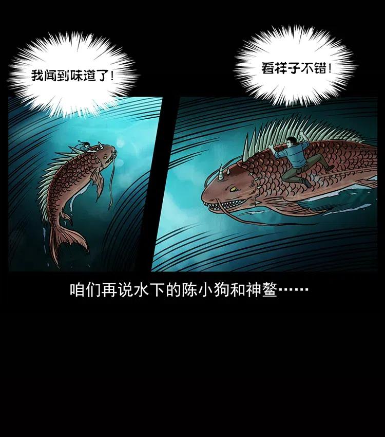 338 水尸81