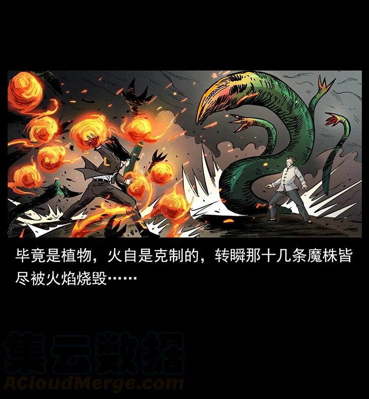 390 斩草除根30