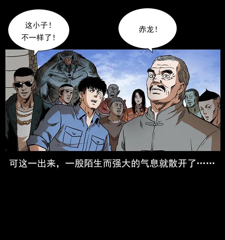 293 赤龙回归29