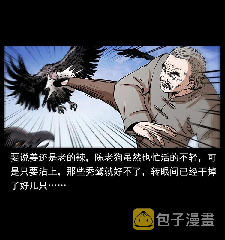 281 柱子归来！21