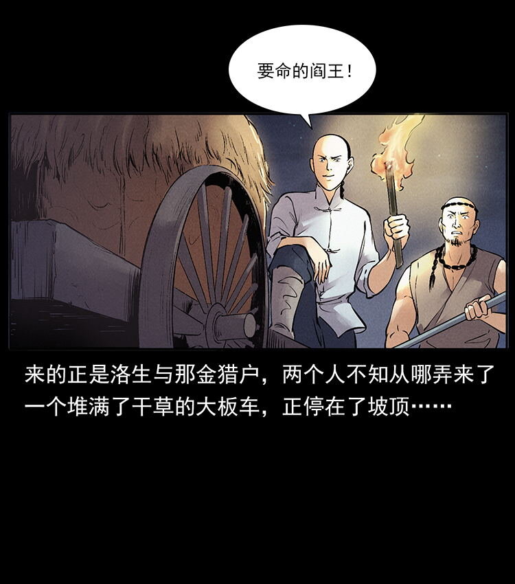 外传 洛生传3 剿匪30