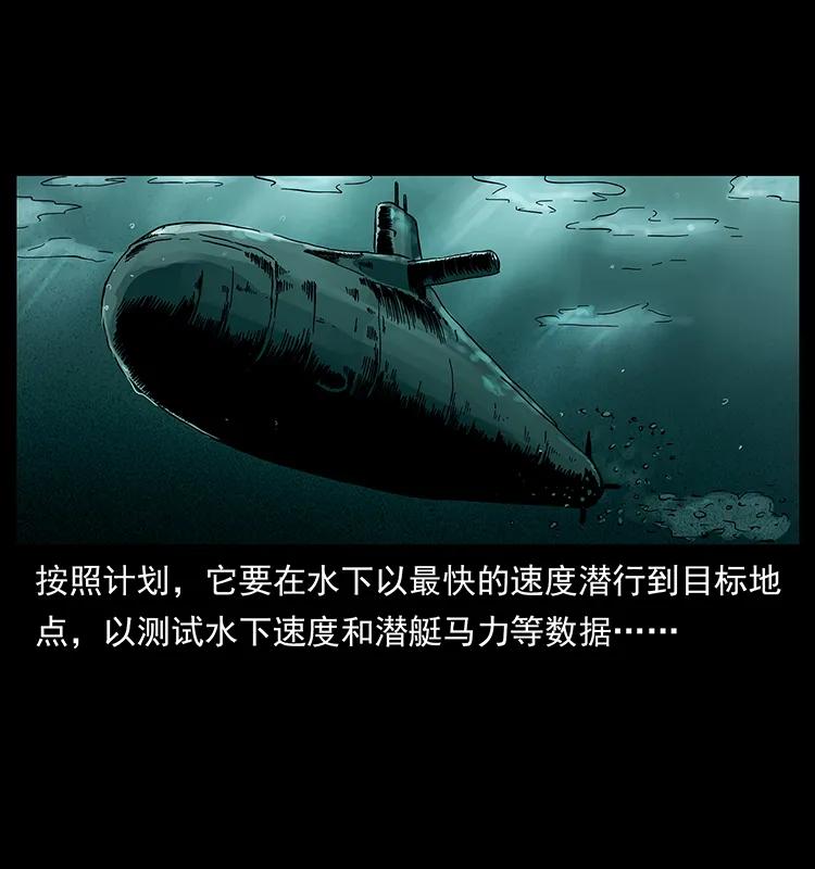 229 东海龙骨59