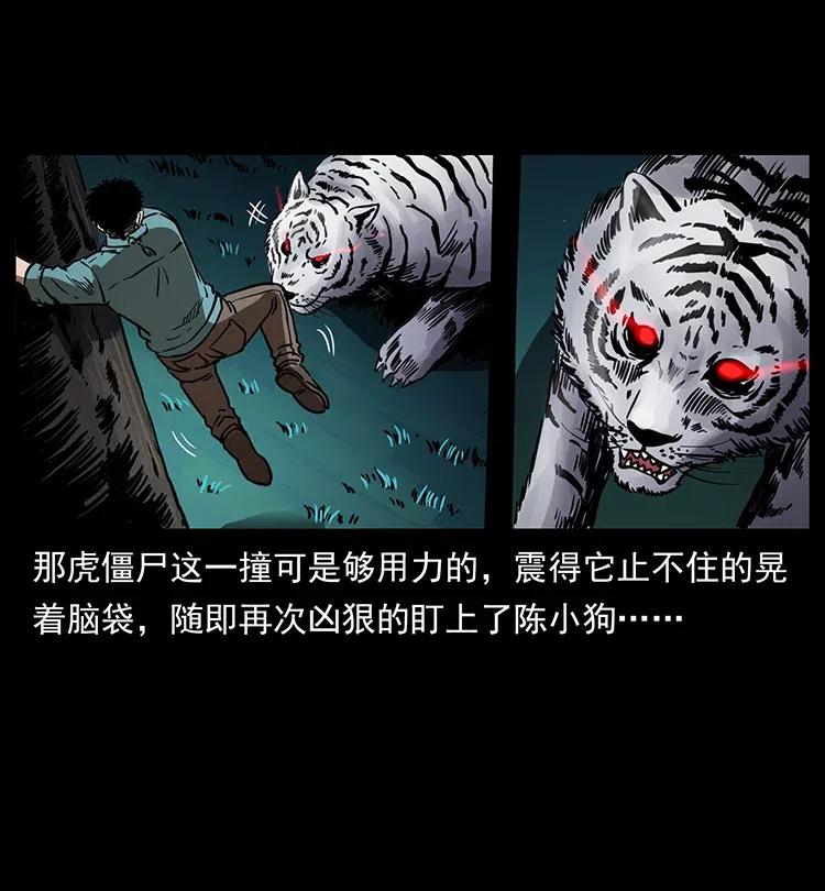 342 白毛僵尸37