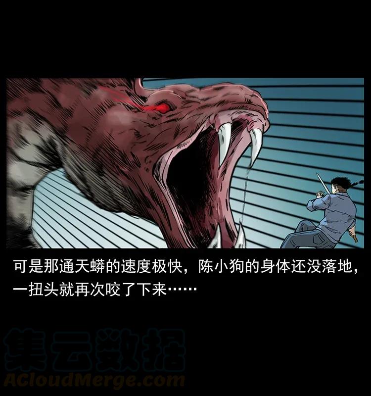 288 强者归队！48