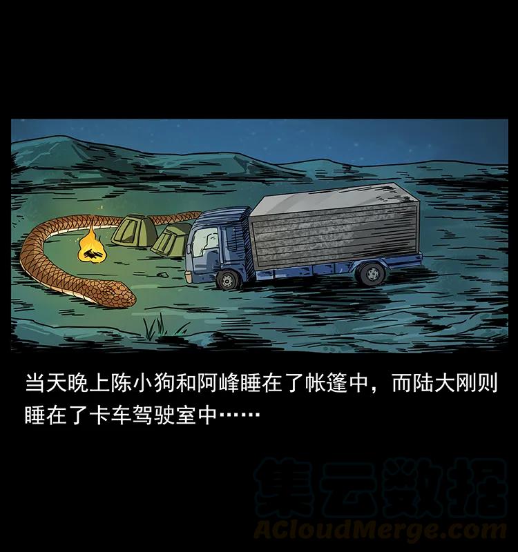 212 草原深处56