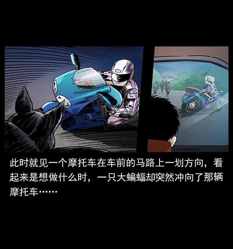 308 佟家的饭局11