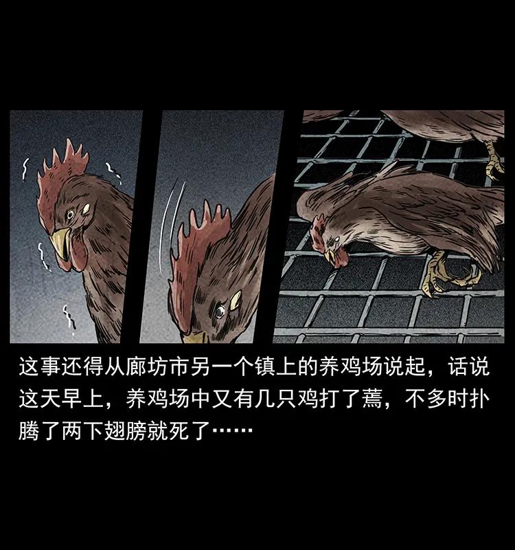 251 刨尸狗遇险27