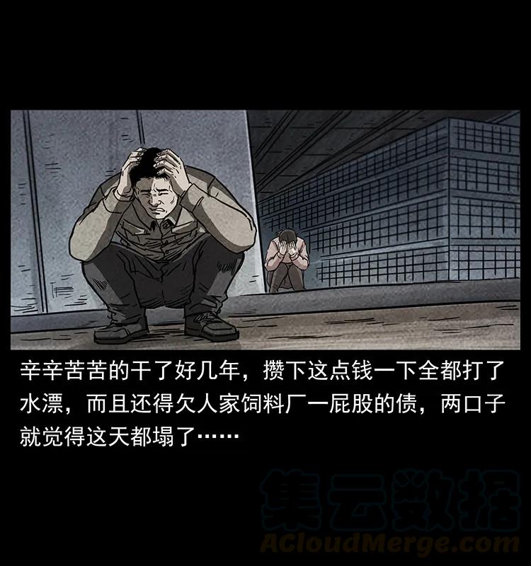 251 刨尸狗遇险32