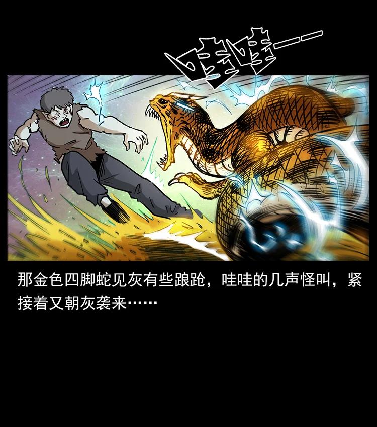 387 老大出手，天崩地裂！44