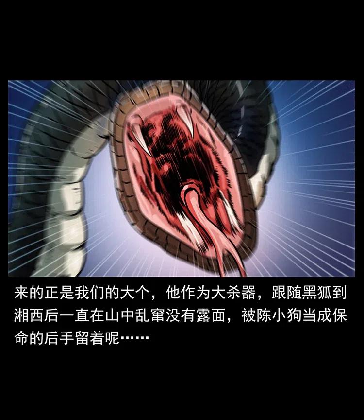372 天击雷尸61