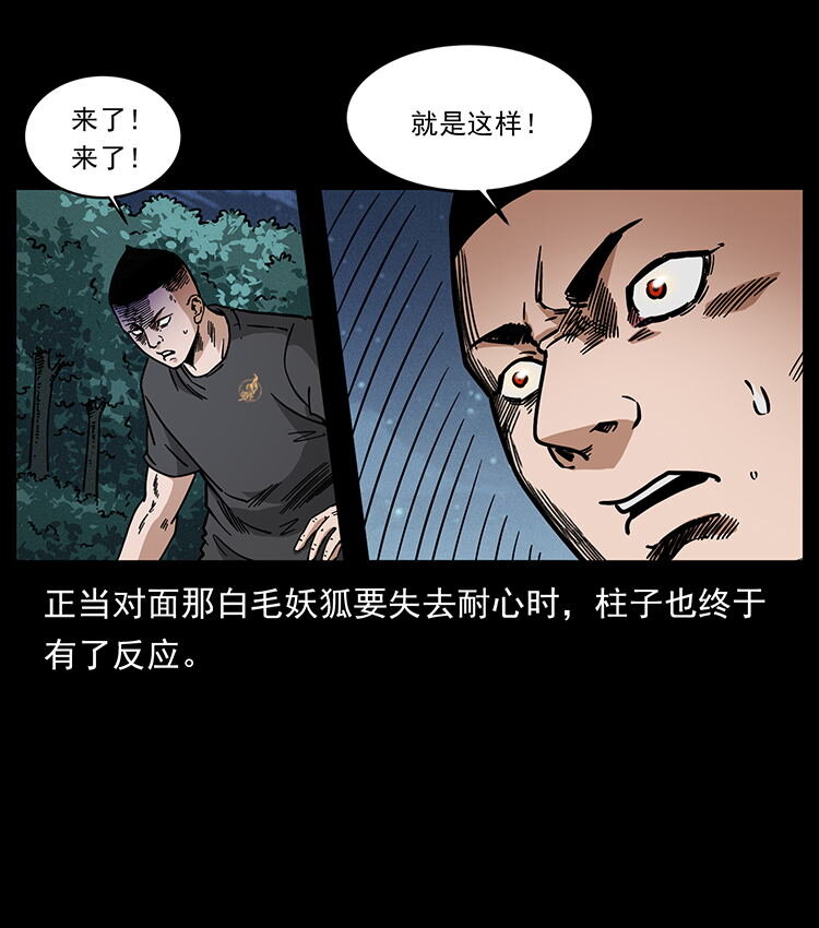 486 人与狐8