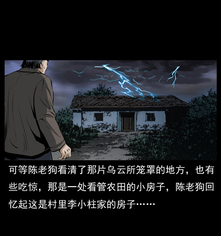 041 雷击尸215