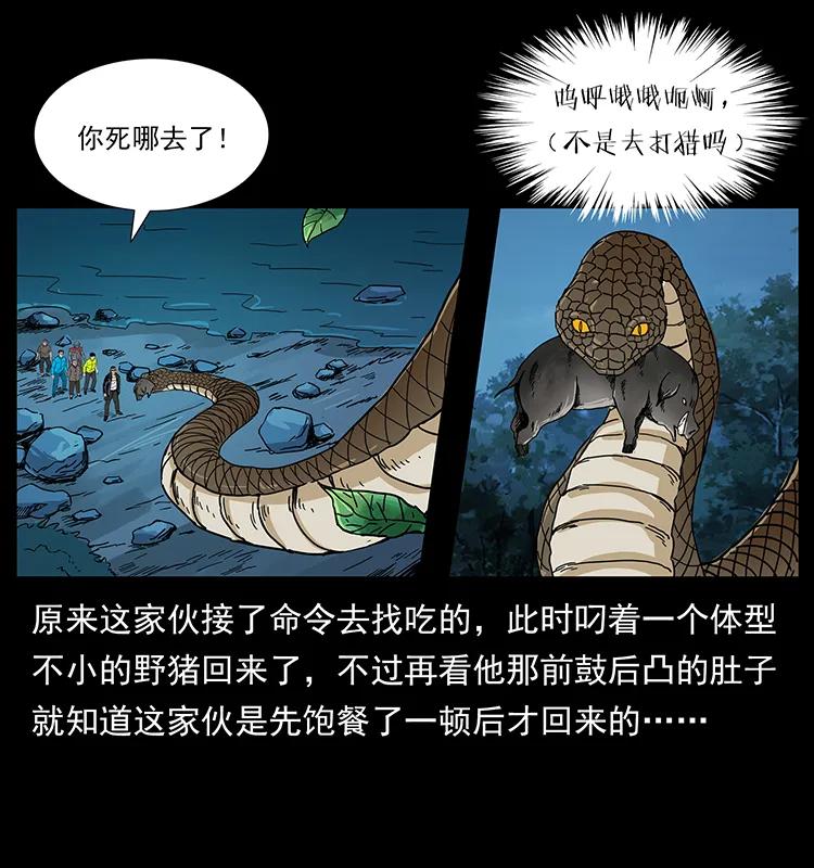 204 回家！35