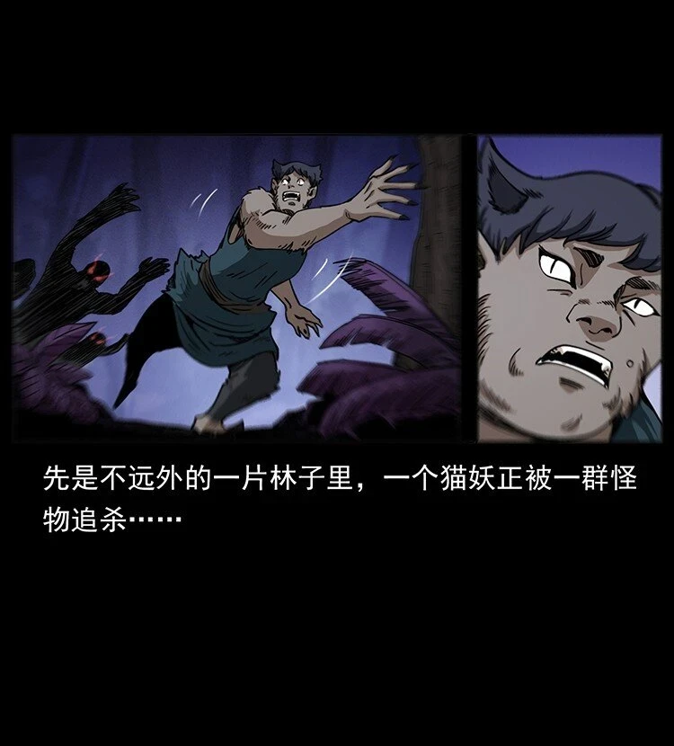 497 办法来了！26