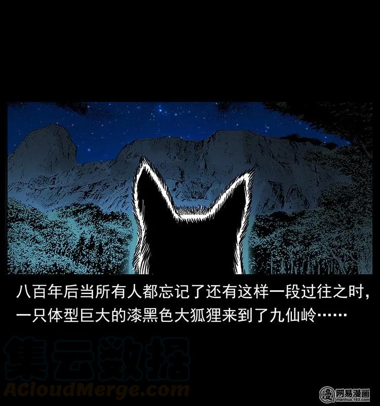 142 黑狐24