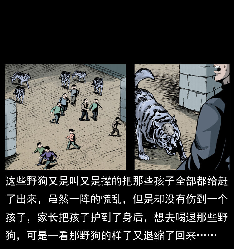 021 天兆48