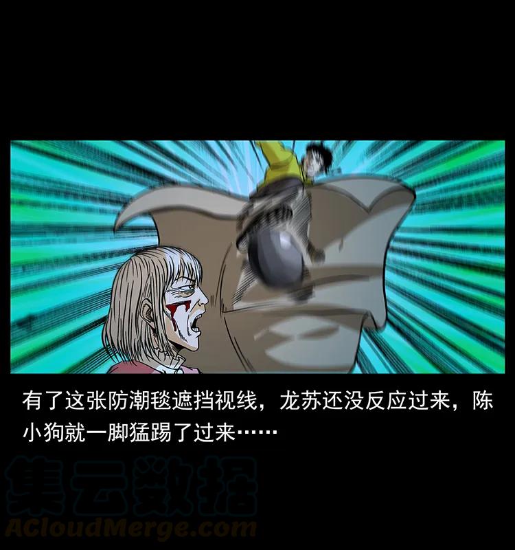 183 新的敌人40