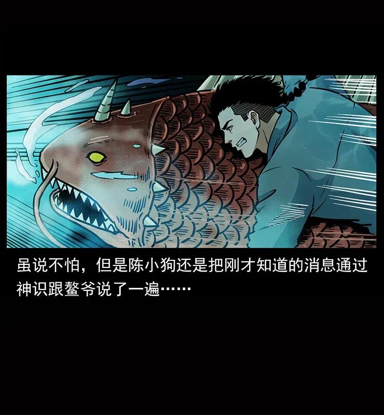 338 水尸82