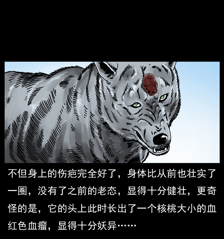 049 刨尸狗传奇276