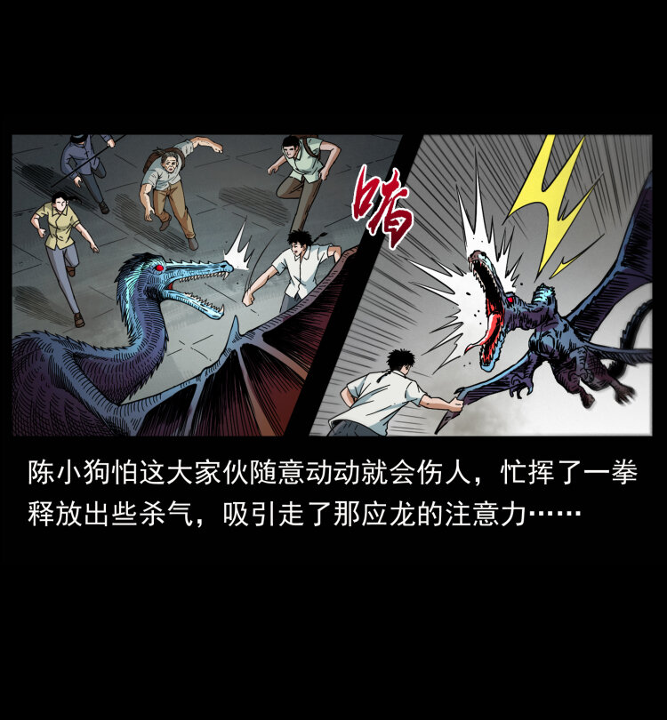 440 应天龙28