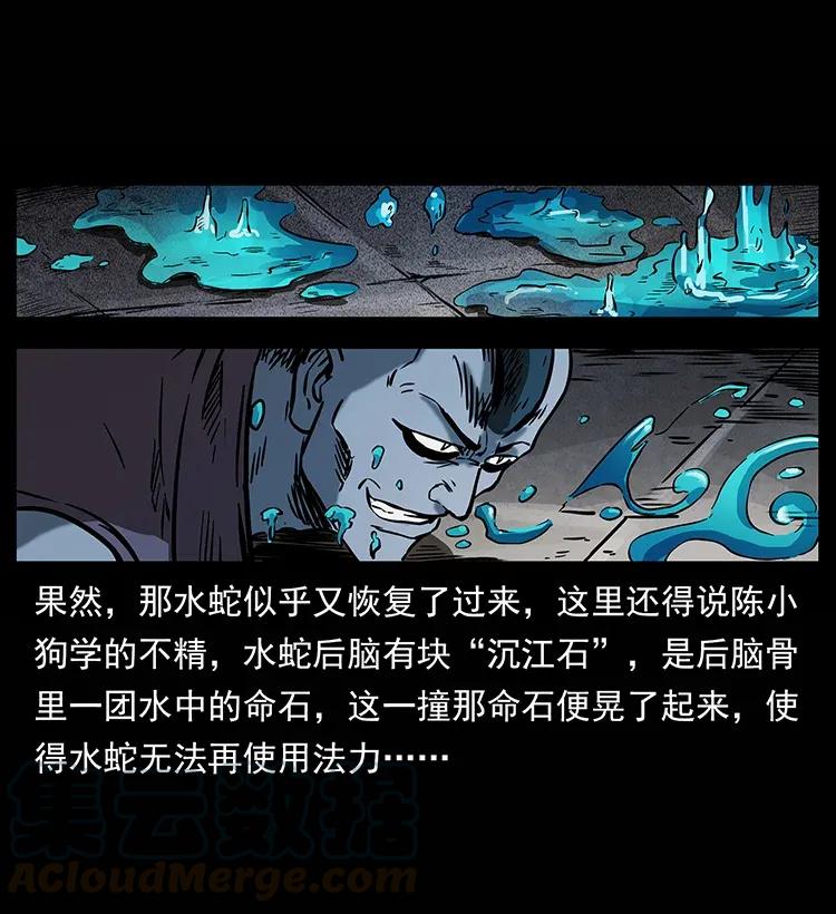 285 水蛟一族8