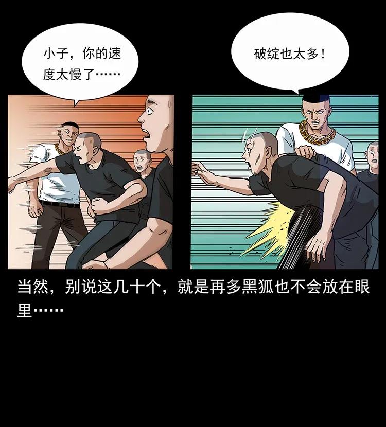 310 黑狐的神仙日子43
