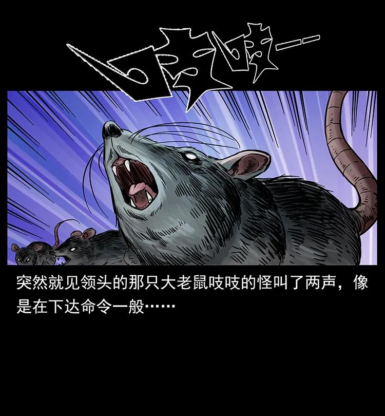 251 刨尸狗遇险62