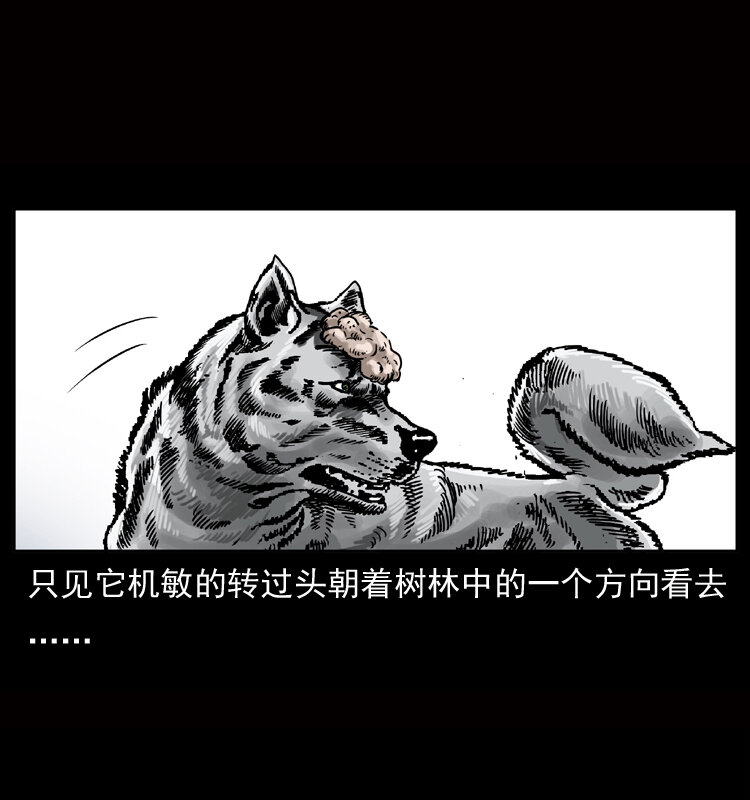 050 刨尸狗传奇35