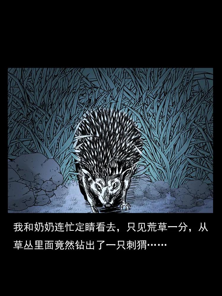 番外2 之保家白仙30