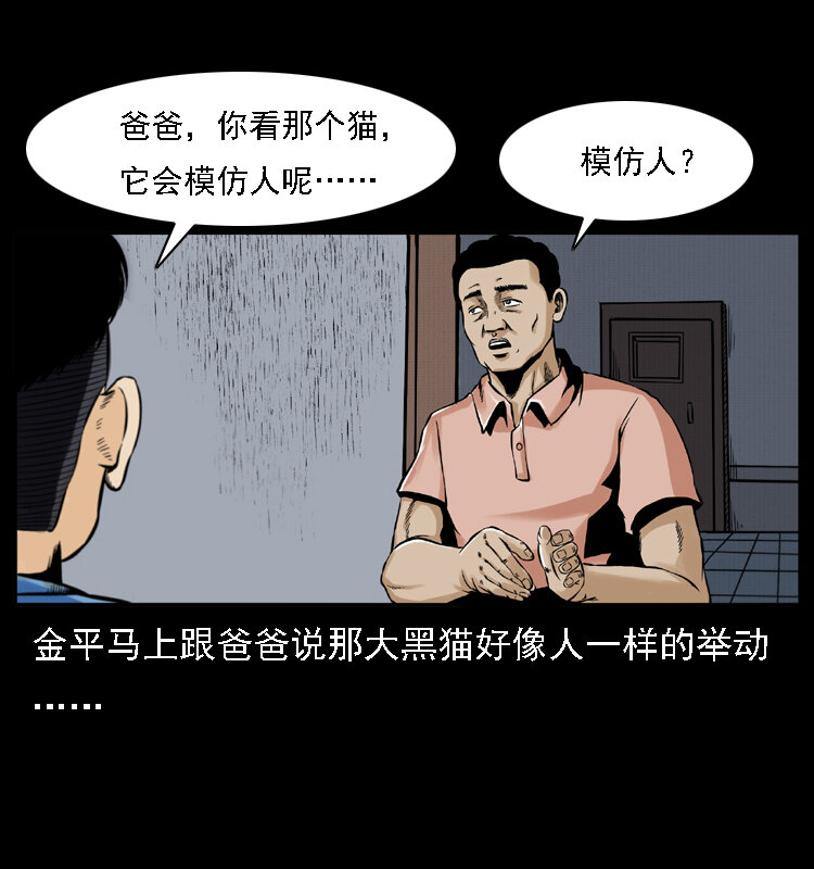 003 赵家的猫46