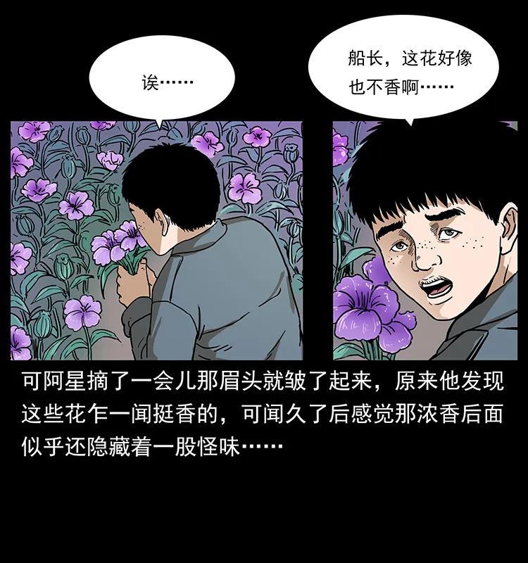 236 神秘的小岛42